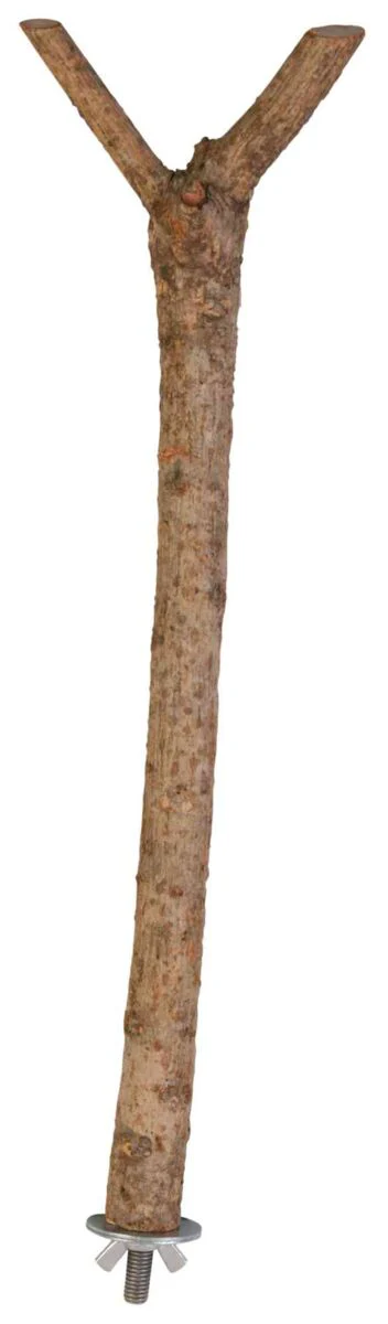 Vorschaubild 2